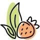 Fruité Mentholé (338)
